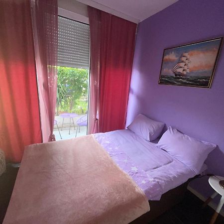 Dorotea Butterfly Daire Budva Dış mekan fotoğraf