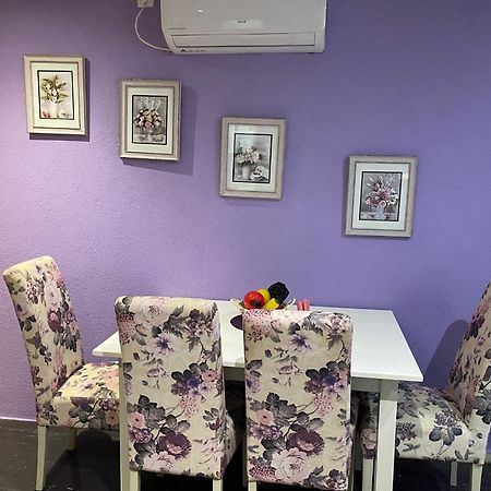 Dorotea Butterfly Daire Budva Dış mekan fotoğraf