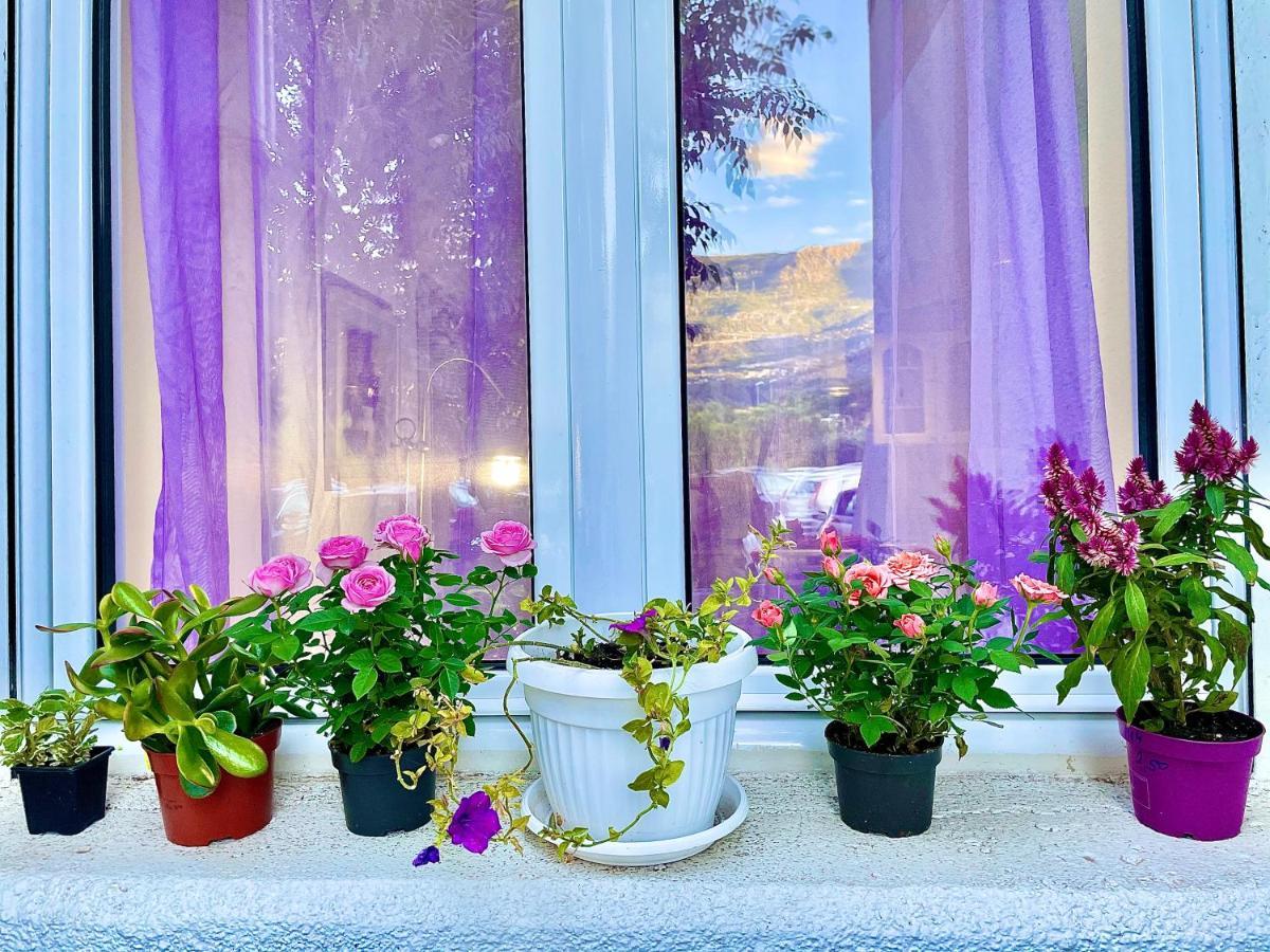 Dorotea Butterfly Daire Budva Dış mekan fotoğraf