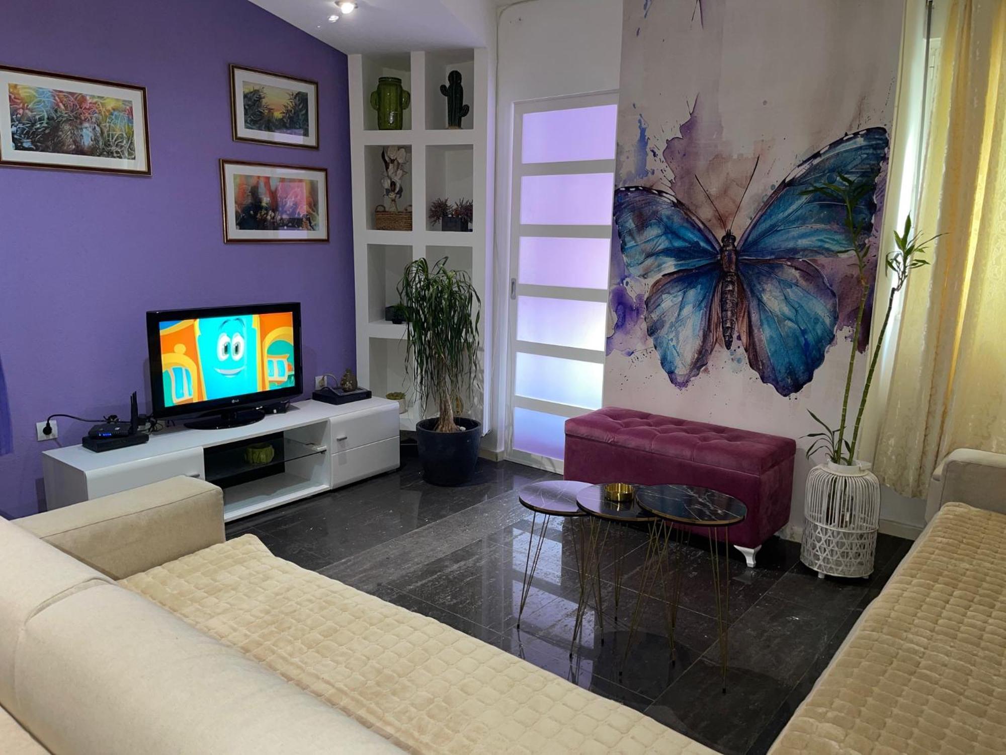 Dorotea Butterfly Daire Budva Dış mekan fotoğraf