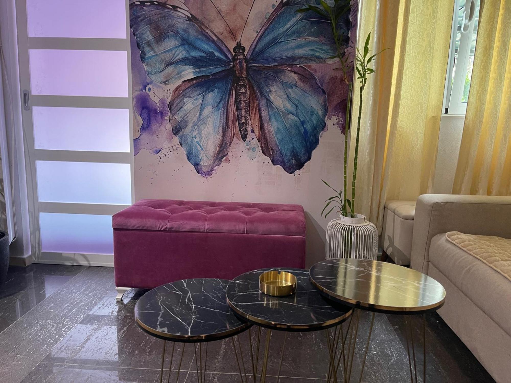 Dorotea Butterfly Daire Budva Dış mekan fotoğraf